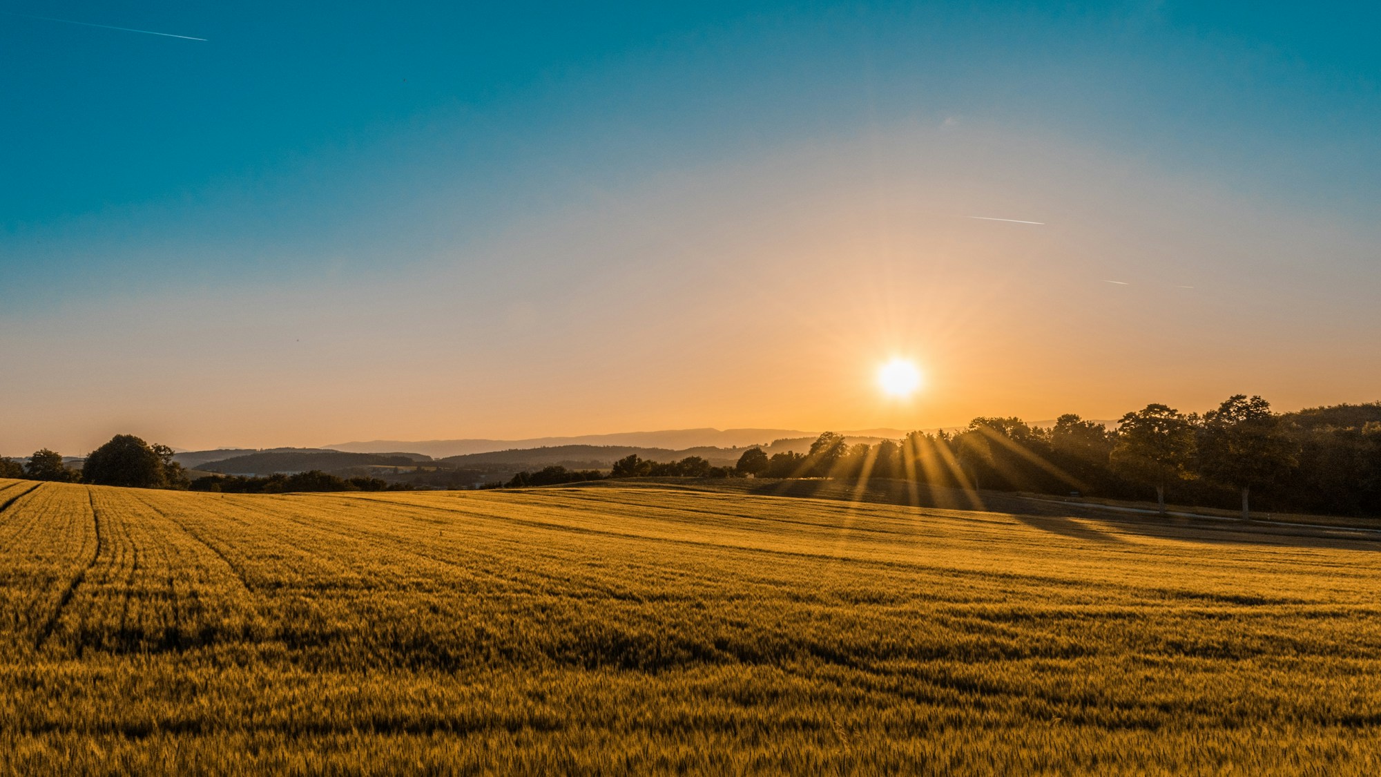 Climate-smart agriculture